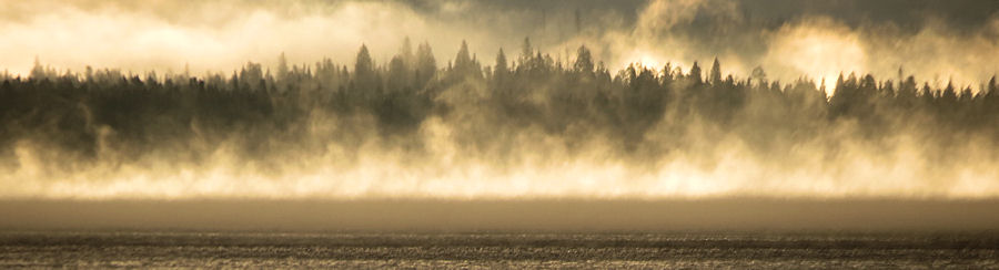 Yellowstone Nebel ber dem Lake